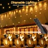 Ollny S11 50FT Outdoor String Lights with Remote, 3 Modes