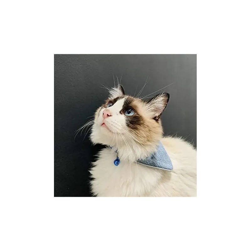 Collar Para Gato Con Paliacate Doble Vista