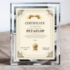 PETAFLOP 8.5x11 Picture Frames Glass 8.5 x 11 Frame Tabletop