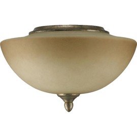 Quorum 2386-9158 Transitional Two Light Fan Light Kit from Salon Collection in Bronze/Dark Finish,
