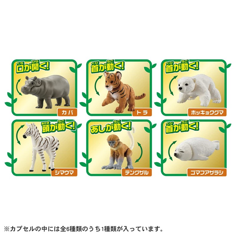 Ania Gachatto Korokoro Capsule 2 Box