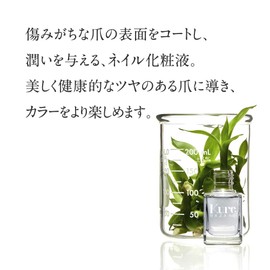 Kure BAZAAR Birds Exception