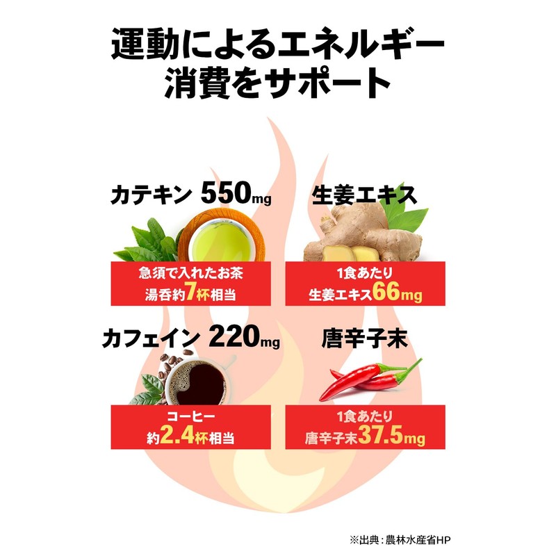 ビーレジェンド ファイヤー 2.0 FIRE 2.0 7種のサポート成分 L-カルニチン α-リポ酸 ビタミンB群 カテキン
