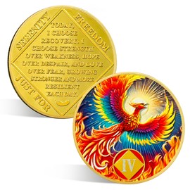 ACGZQY 4 Year Na Medallion – Rebirth Phoenix Sobriety Chip AA NA Coins and Medallions Upon Awakening Recovery Addiction Sober Token Affirmation Narcotics Anonymous Gifts