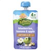 Raffertys Garden 4 Months Smooth Blueberry Banana & Apple 120g