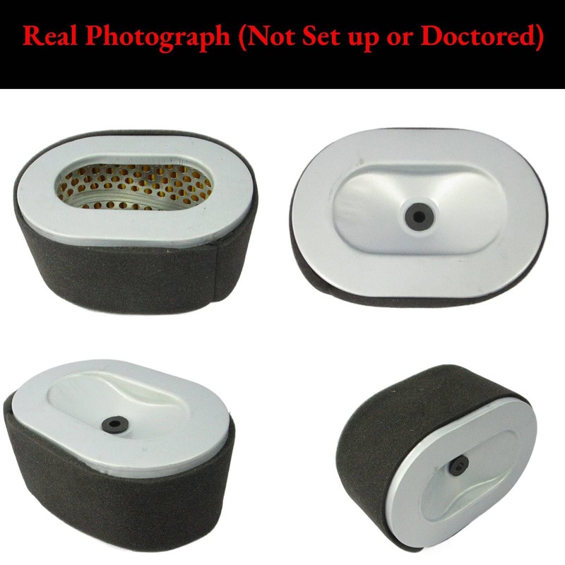 Air Filter Cleaner Element, Engine Air Filter Element, Generator Air