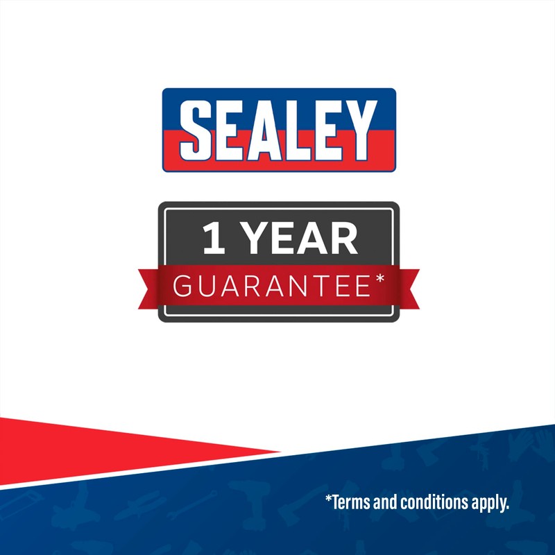 Sealey 10-Function Professional Auto-Ranging Digital Multimeter - MM21