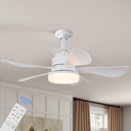 Ceiling Fans with Lights and Remote, 25 Inch Quiet Ceiling Fans with 5 Blades, LED Dimmable, 6 Speed Low Profile Ceiling Fan with Light for Bedroom, Garage, Kitchen, Living Room, Indoor (White)