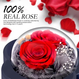 Preserved Rose with Necklace Jewellery Box,Eternal Flower Gift for Mom Wife Girlfriend Women Grandmother for Valentinen Day Birthday Anniversay Mother Day Christmas Red
