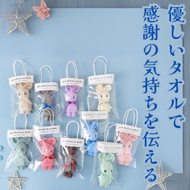 Golspia Petite Gift Hand Towel Handkerchief Set Gift Favor Greetings Individually Wrapped 10 Pcs