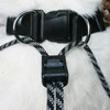 SPORN Dog Harness, Black, Large