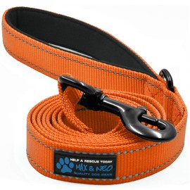 Max and Neo Reflective Nylon Dog Leash - We Donate a Leash for Every One Sold (Orange, 6ft)