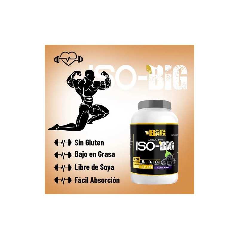 Creatina Monohidratada Big Protein 1kg 200 Servicios