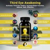Third Eye Awakening - Organic Haritaki Capsules- Kailash Herbals-100 Capsules-