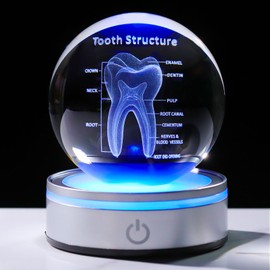 Enjinkail Tooth Model 3D Crystal Ball Dental Gifts for Women Men, Dentist Hygienist Present Office Decor with Led Base, Laser Etched Figurine Tooth Gift for Dental Student on Graduation Christmas