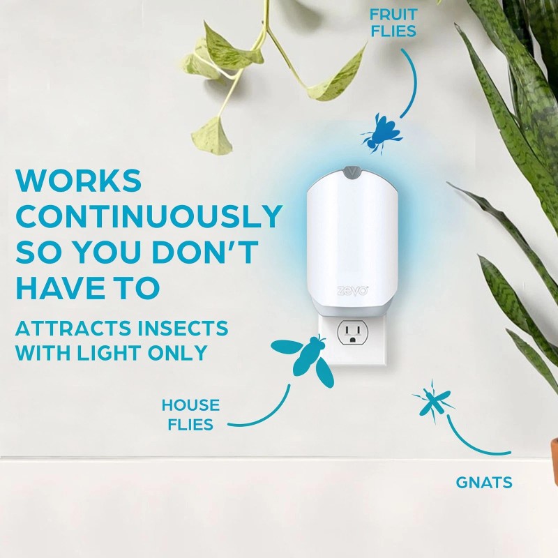 Zevo Fly Trap Plug-In UV Light Gnat & Fruit Fly