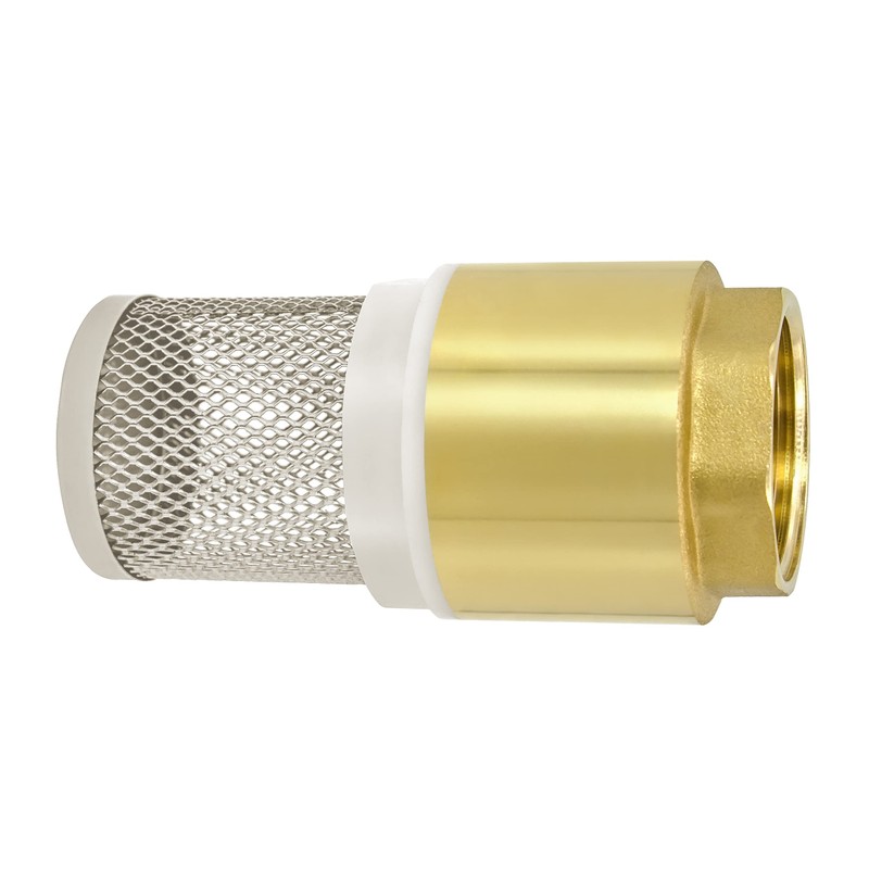 VARIOSAN Foot Valve 14146, 3/4 Inch Check Valve, Brass, Stainless