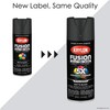 Krylon Fusion All-In-One Adhesive Spray Paint for Indoor/Outdoor Use, 12