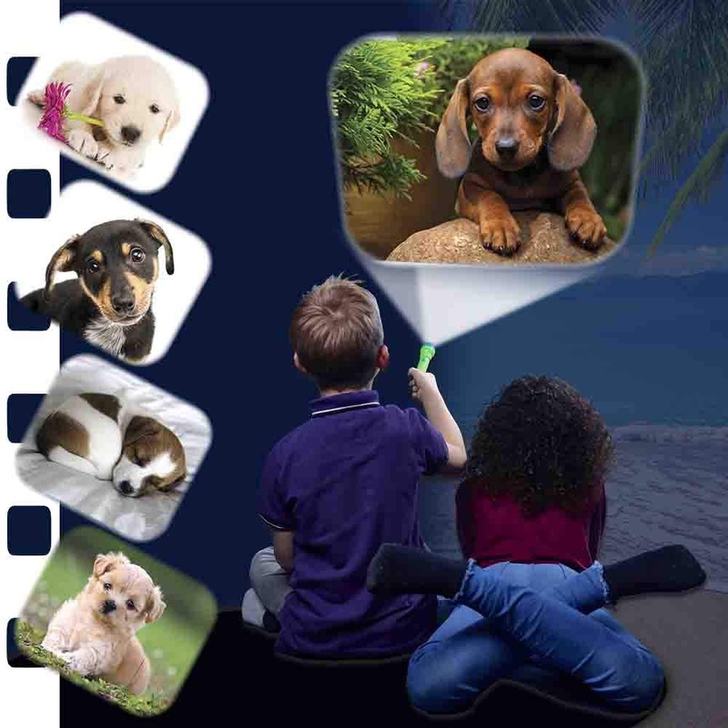 Brainstorm Toys Puppies Torch & Projector