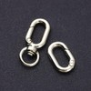 [FUSSED] 2-piece Set Spring Keychain, Carabiner Hook, Lost Prevention, Easy