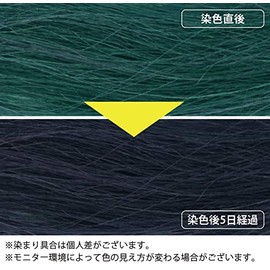 Indigo Fountain 3.5 oz (100 g) Indigo Color Mix with Henna to Dark Color Organic Indigo Dye for Gray Hair