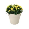 elho Green Basics Top Planter 23 - Flower Pot for