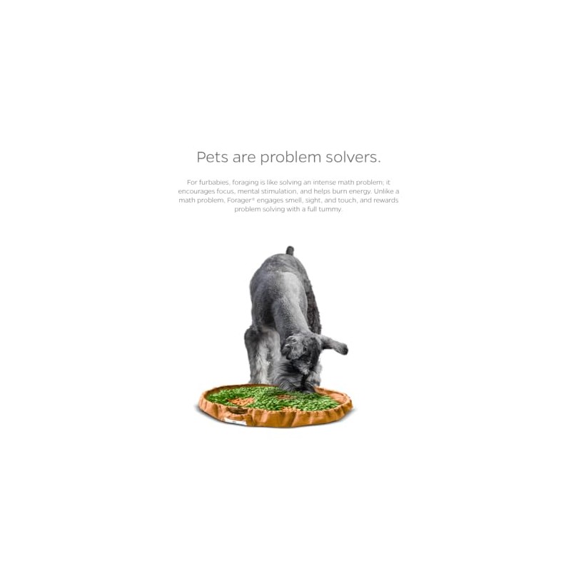 Pet Parents Forager Snuffle Mat y tazón de alimentación Lenta