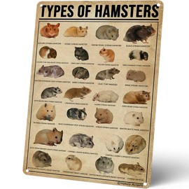 Homely Accents Types Of Hamsters Metal Signs, Vintage Educational Poster Tin Signs for Farmhouse Bathroom, Cafe Bar Wall Decor Gift for Hamster Enthusiasts Kids 8x12 Inches