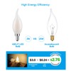 AIELIT Frosted E12 Candelabra LED Bulb, Dimmable, 2 Watt(25W Equivalent),
