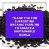 Berrilys, Organic Black Cumin Seeds, 450 gr, Also known as