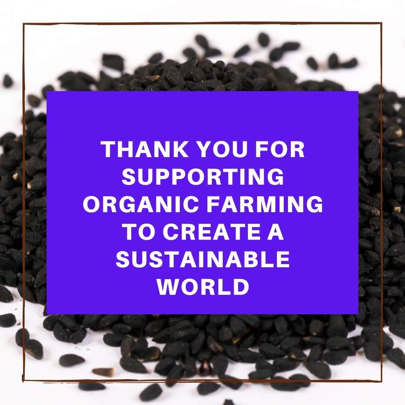 Berrilys, Organic Black Cumin Seeds, 450 gr, Also known as