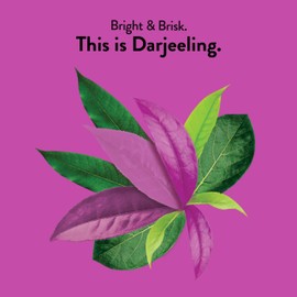 Choice Organics - Organic Darjeeling Tea (1 Pack) - Fair Trade - Compostable - Contains Caffeine - 16 Organic Black Tea Bags