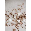 Amish Country Popcorn | 25 lbs Bag | Purple Popcorn