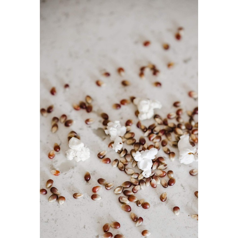 Amish Country Popcorn | 25 lbs Bag | Purple Popcorn