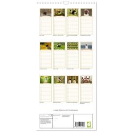 Familienplaner 2026 - Lustige Möpse aus der Hundeknipserei mit 5 Spalten (Wandkalender, 21 cm x 45 cm), CALVENDO: Diese Mopshunde sorgen jeden Tag für einen Schmunzler (CALVENDO Tiere)