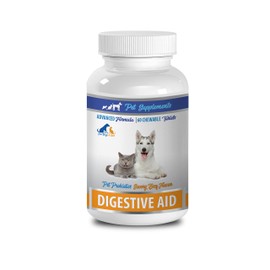Digestive Support for Dogs - PET Digestive AID - for Dogs and Cats - PET PROBIOTIC - Chews - bifidobacterium bifidum probiotic - 1 Bottle (60 Treats)