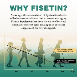 Liposomal Fisetin and Quercetin 1200 mg - 60 Soft Gel Capsules (1000 mg Fisetin, 200 mg Quercetin) - Improved Absorption - (Pack of 60)