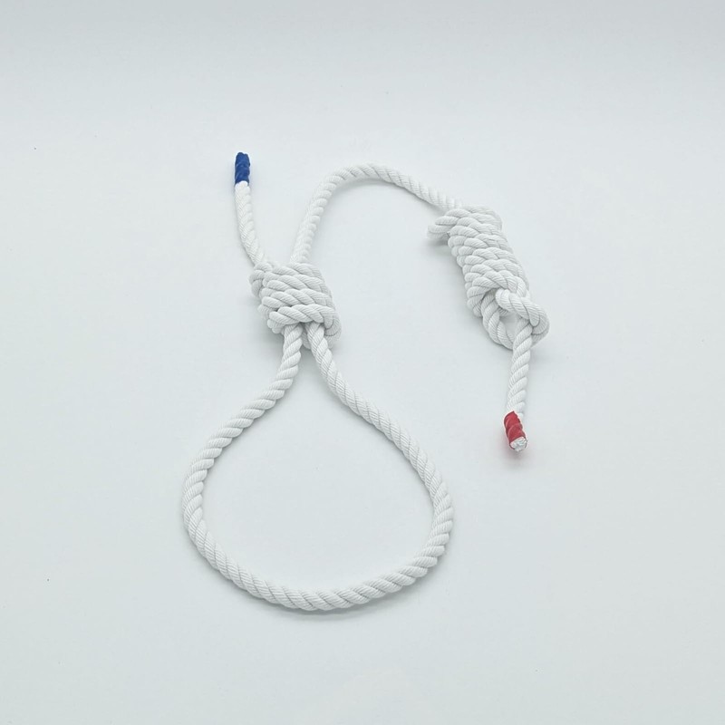 Lunosur Ropework Practice Rope, Made in Japan, 0.4 inches (10