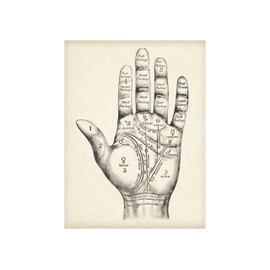 Vintage Palm Reading Chart 16x20 Unframed Print–Witchy occult wall art featuring wicca, magic, and mystical décor. Great for vintage Halloween, oddities, curiosities, & unique home decoration displays