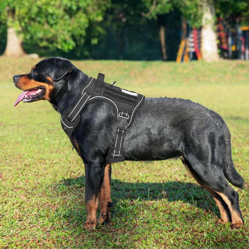 Beebiepet Heavy Duty Tactical Dog Harness for Large Dogs, No