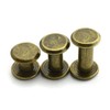 LQ Industrial 75 Sets Bronze M5 Chicago Screw Assorted Kit