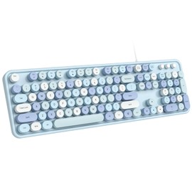 Dilter Wired Keyboard, Full-Sized Typewriter Keyboards, USB Plug and Play Office Keyboard with Number Pad, Caps Indicators, Foldable Stands for Windows, PC, Laptop, Desktop (Blue Colorful)