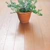 Azuma SQ054 Wax Sheet for Flooring, Wet 10 Pieces, Sheet