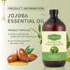 32 fl oz 100% reines Jojoba-Trägeröl – unraffiniert, hexanfrei, kaltgepresst