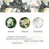 Ashleigh & Burwood Scented Home 150ml Rattanstäbchen Duft Geschenkset Jasmin