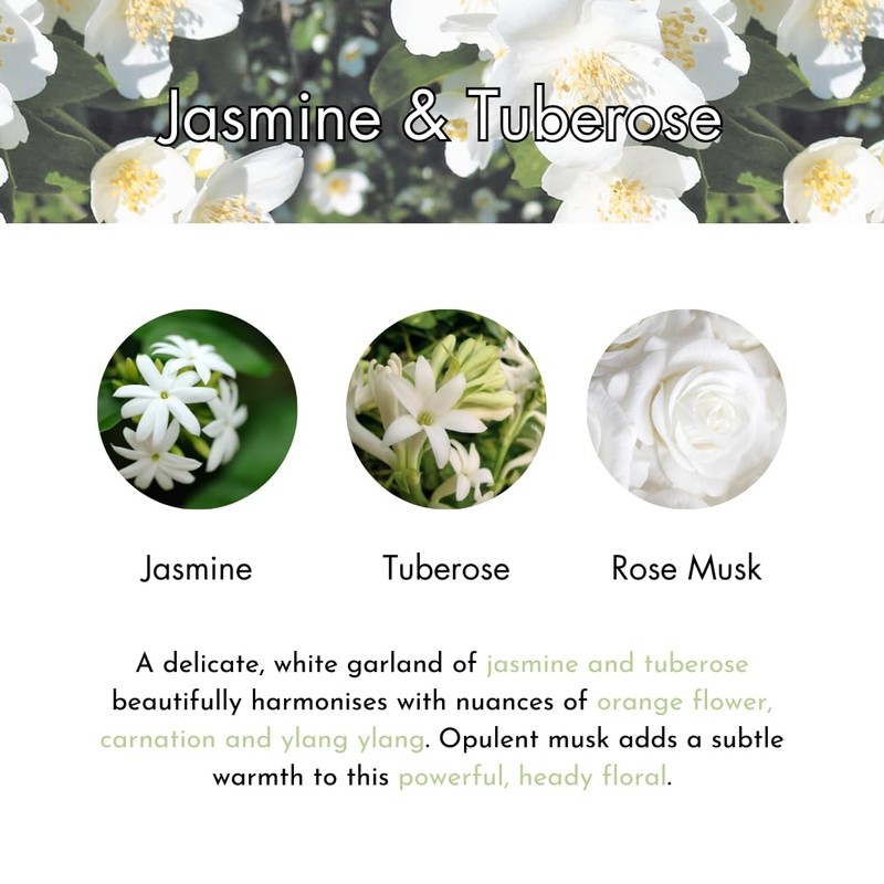 Ashleigh & Burwood Scented Home 150ml Rattanstäbchen Duft Geschenkset Jasmin