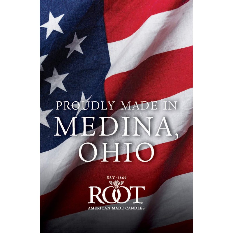 Root Candles 7217 Smooth Hand-Dipped 12-Inch Dinner Candles, 12-Count, Ivory