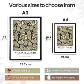 William Morris Set of 3 Art Prints - Anemone, Strawberry Thief, Brer Rabbit - Famous Artist Pictures Available in a Variety of Sizes (Set 4, A4 Print Only)