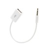 HYROOY 3.5mm Male to USB Female Converter Cable for Car