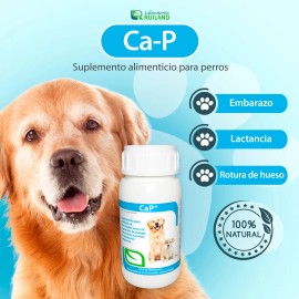 Ca-p Ruiland Vitaminas Minerales de Calcio y Fósforo Suplemento para Perros Frasco 60